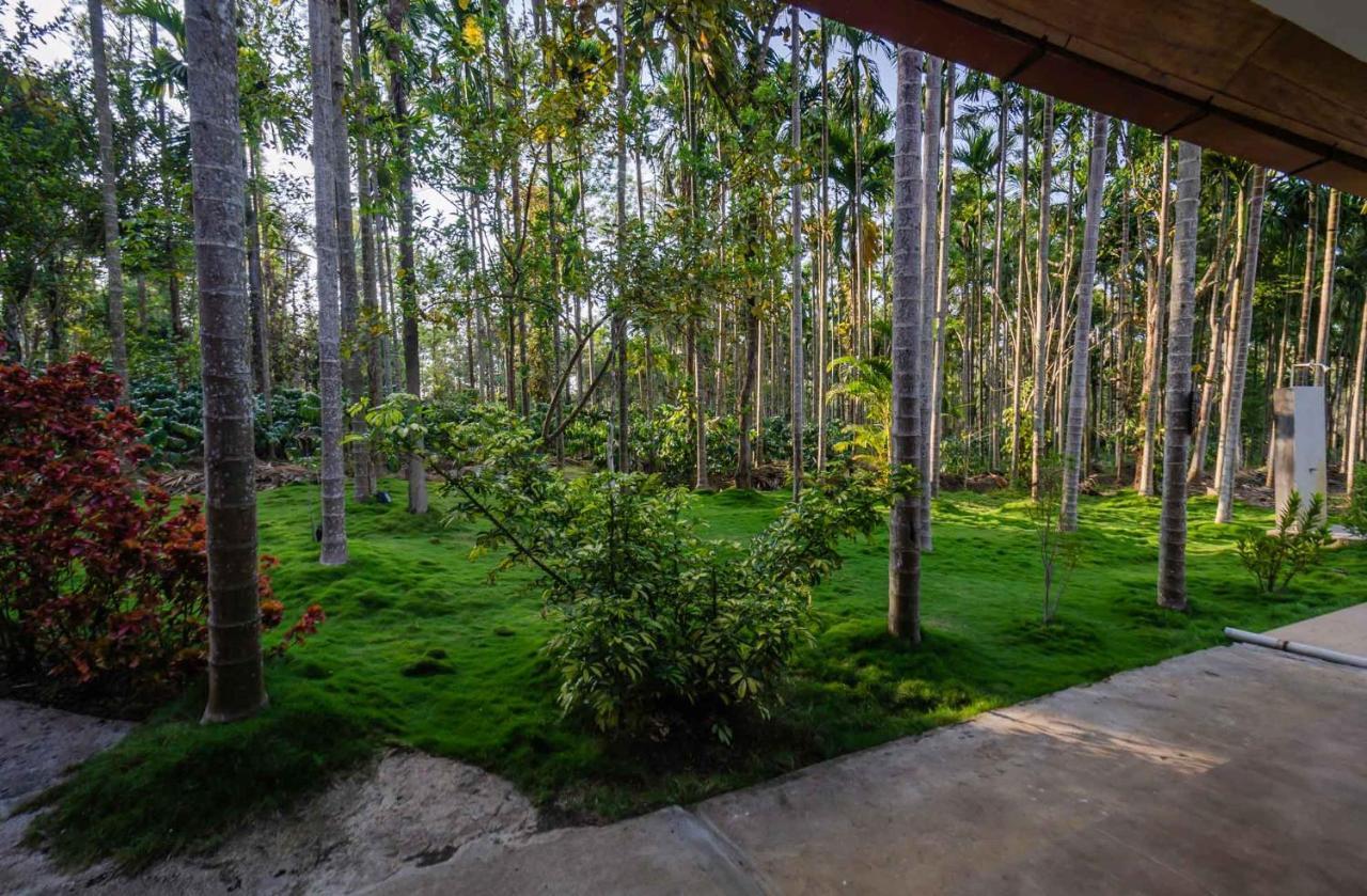 Stayvista At Tall Silver With Infinity Pool & Breakast Madikeri Zewnętrze zdjęcie